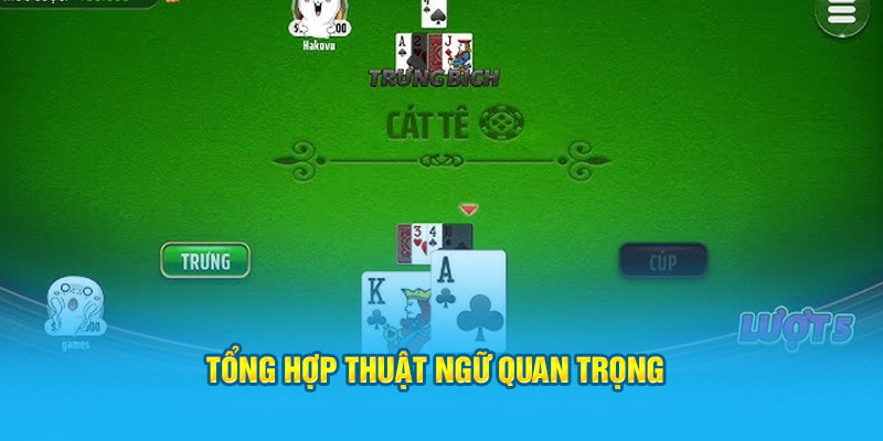 Tổng hợp thuật ngữ quan trọng 